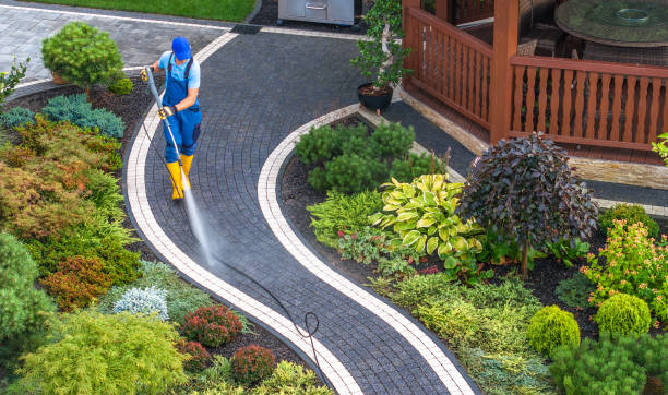 Trusted Lewisville, TX Pressure Washing Experts